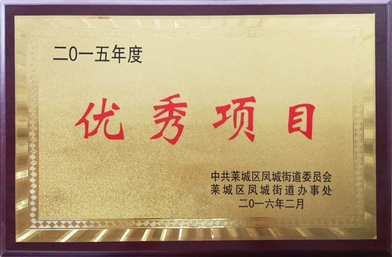 優(yōu)秀項(xiàng)目